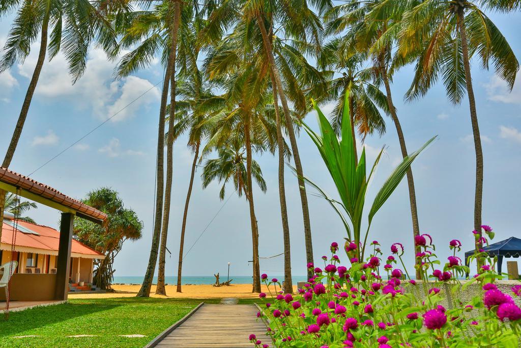 Amagi Beach - Secluded Slice Of Paradise Marawila Exterior foto