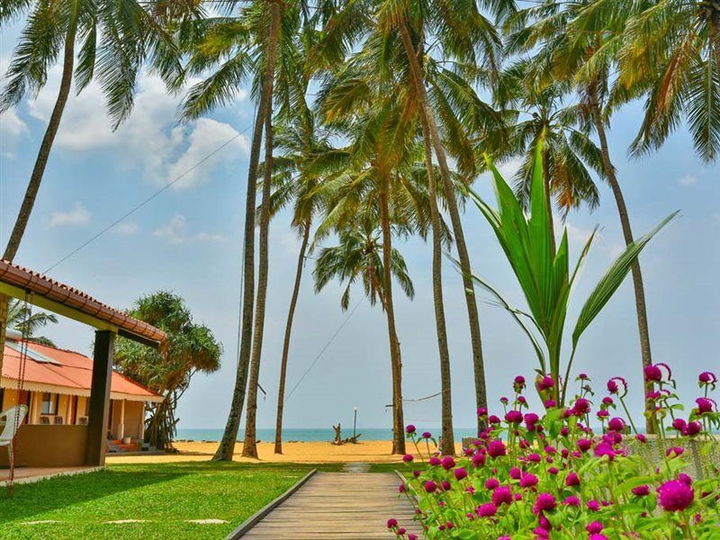 Amagi Beach - Secluded Slice Of Paradise Marawila Exterior foto